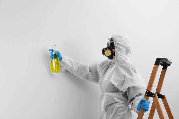 Why You Should Choose Our Mold Remediation Services in Leo Cedarville, IN